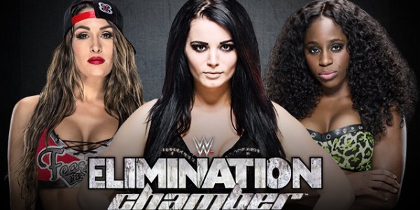 nikki-bella-paige-naomi-divas-title