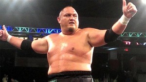 samoa-joe-f