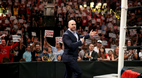 cesaro-section