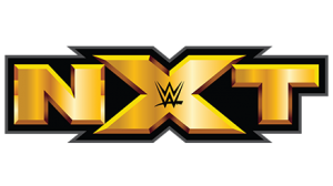 Paul Levesque se doit de comprendre les raisons qui ont fait de NXT un succès  photo: WWE