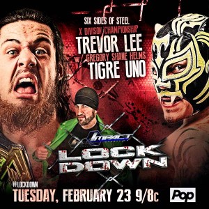 lee-tigre-2