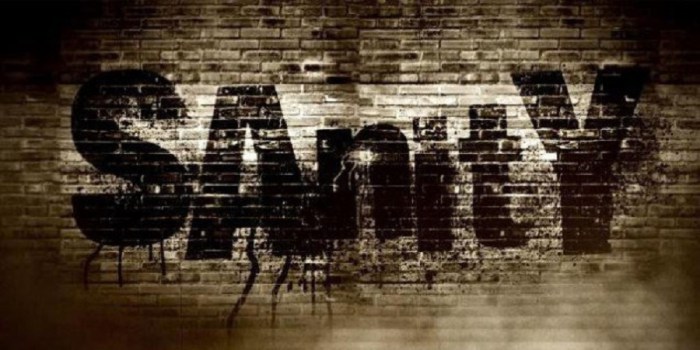 Sanity NXT