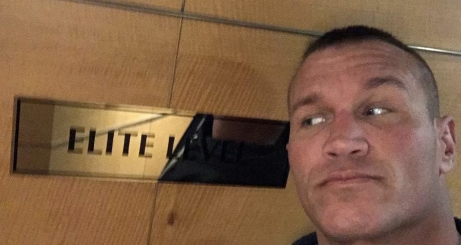 orton elite