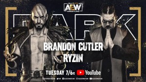 2020-11-17 Brandon Cutler c. Ryzin