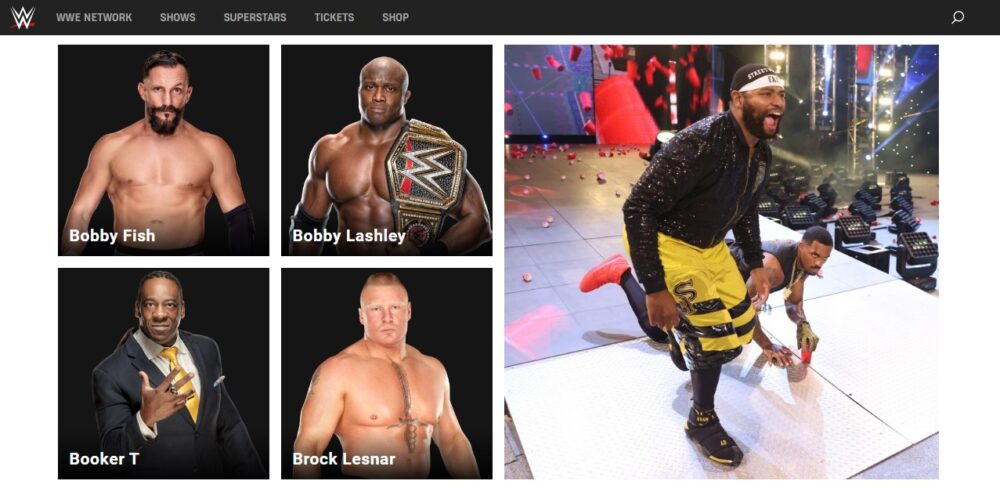 Brock-Lesnar-wwe.com