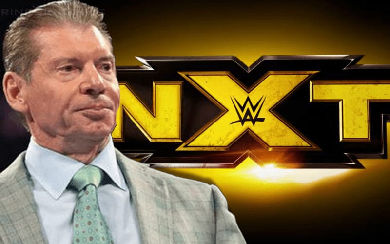 vince-mcmahon-nxt
