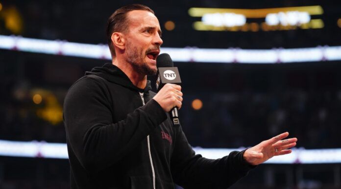 cm punk