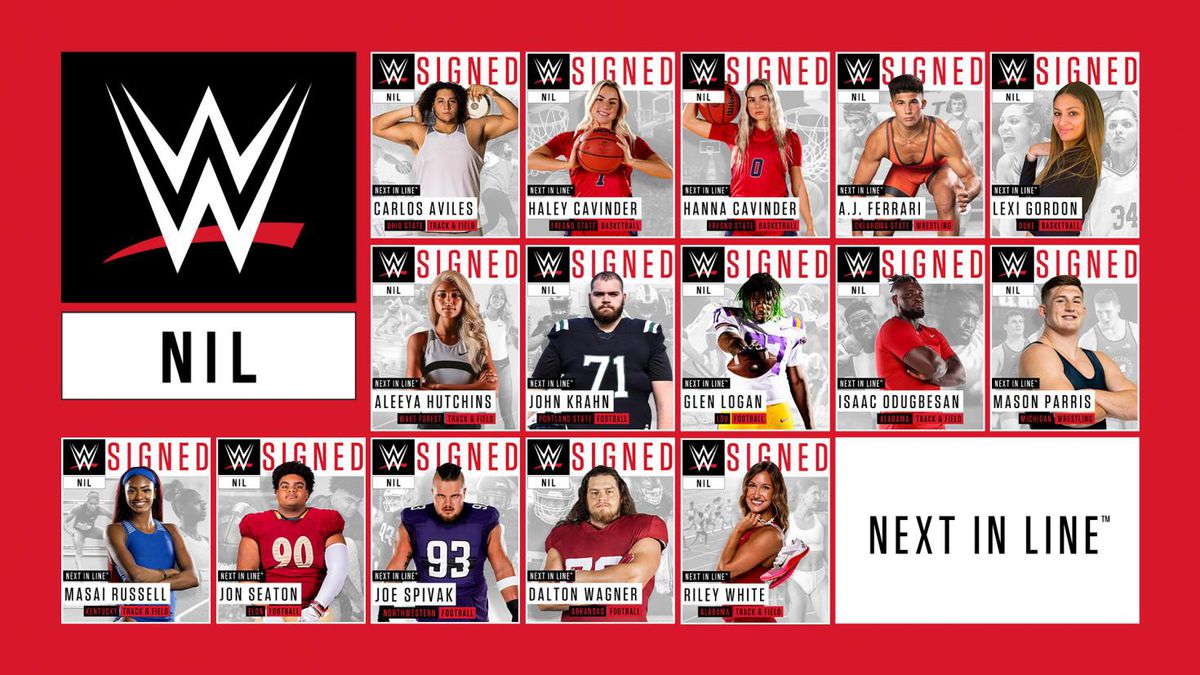 wwe nil