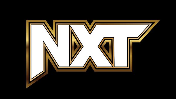 nxt black and gold