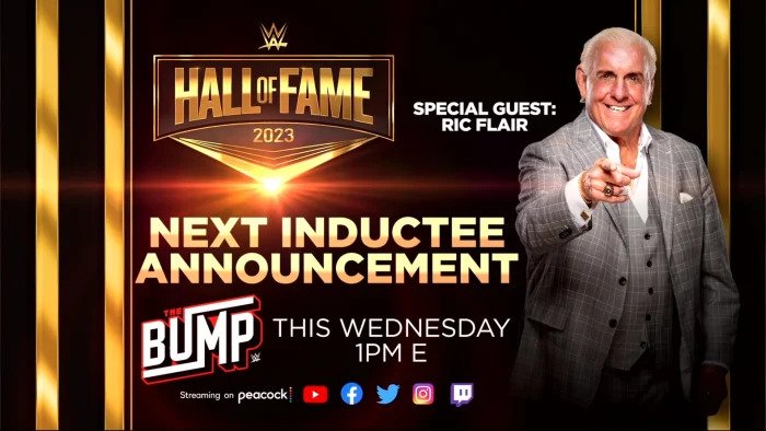flair bump hall fame