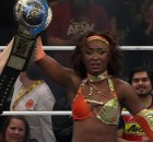queen animata champion